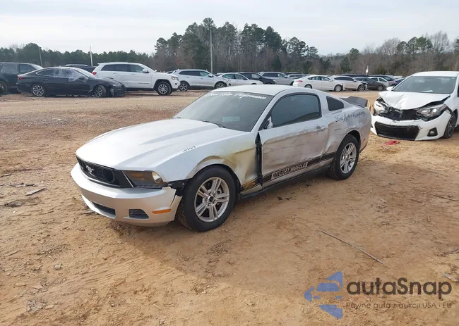 1ZVBP8AM7C5283439: 44067100