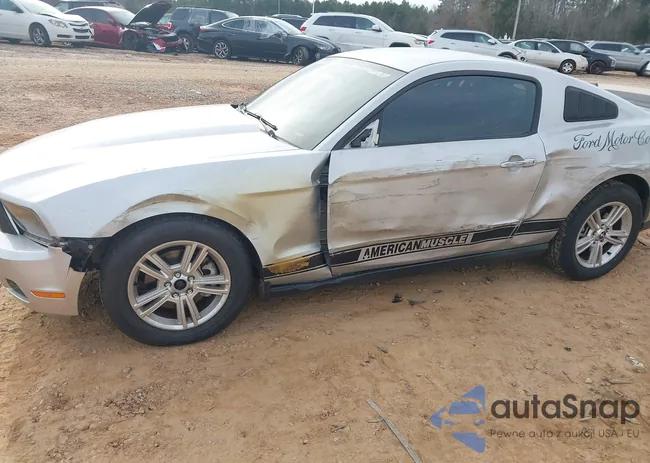 1ZVBP8AM7C5283439: 44067100