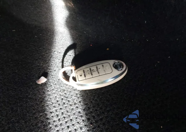 3N1AB8CV1MY204065: 44066308