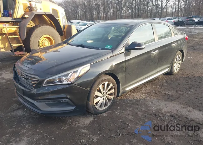 5NPE34AF7HH446880: 44066392