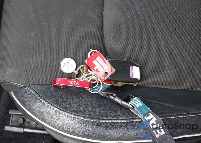 3KPF54AD8PE549953: 44066485