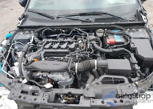 2HGFE1F7XPH312095: 44067837