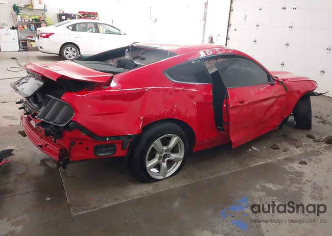 1FA6P8AM5H5244527: 44071331