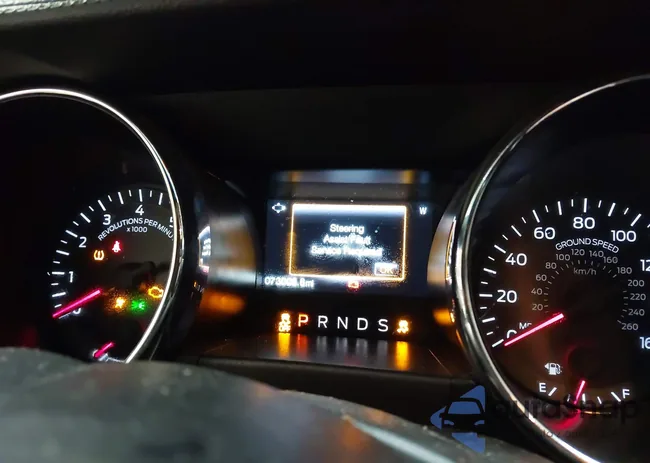 1FA6P8AM5H5244527: 44071331