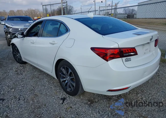 19UUB1F53FA006528: 44074181