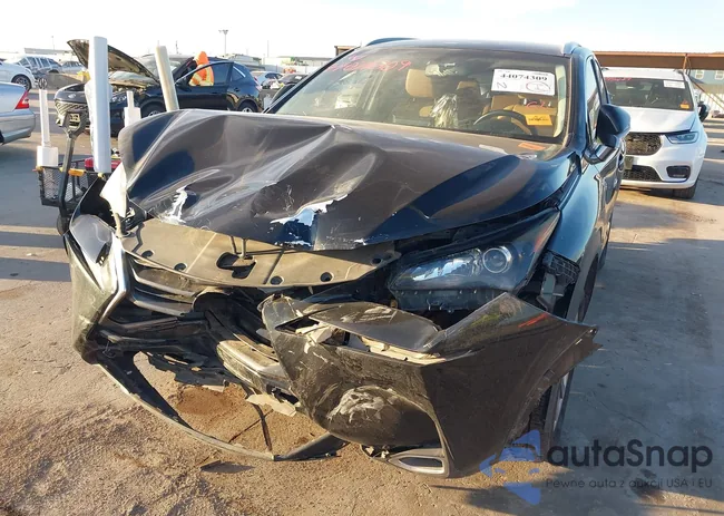 JTJYARBZ0H2053357: 44074309