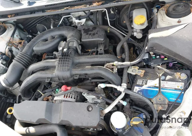 JF2GPAKC0D2213503: 44074316