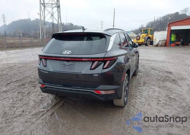 5NMJFCAE5PH207413: 44074542