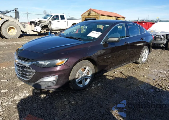 1G1ZB5ST5LF157524: 44075604