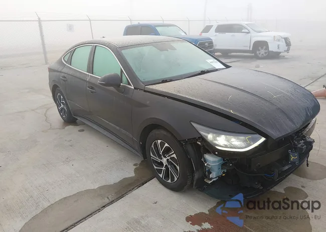 KMHL24JJ1PA084271: 44075905