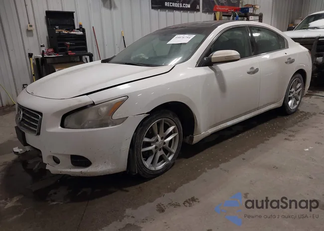 1N4AA5AP6BC856484: 44076754