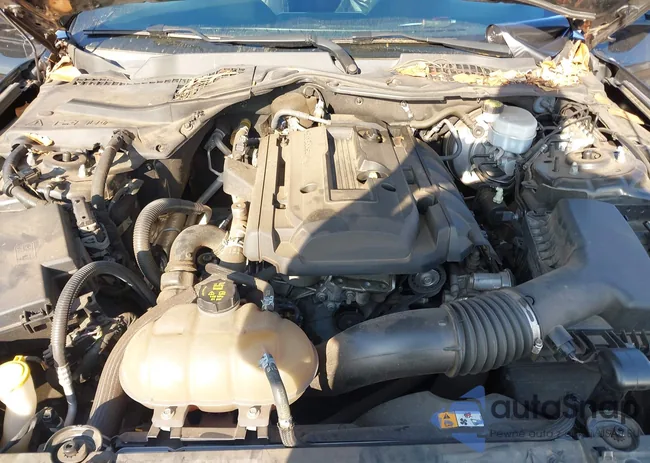 1FA6P8TH4J5115524: 44076365