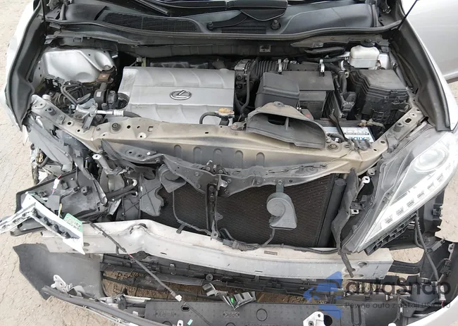 2T2BK1BA7DC159491: 44077633