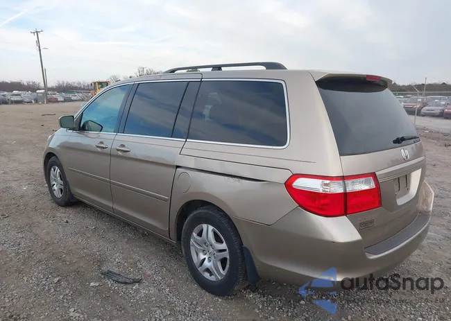 5FNRL38717B430102: 44077733