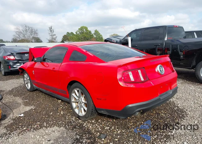 1ZVBP8AM6B5122305: 44077952