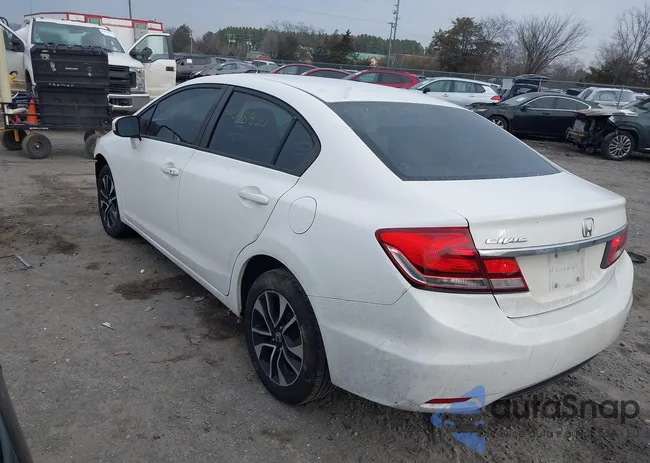 19XFB2F81FE064951: 44078520