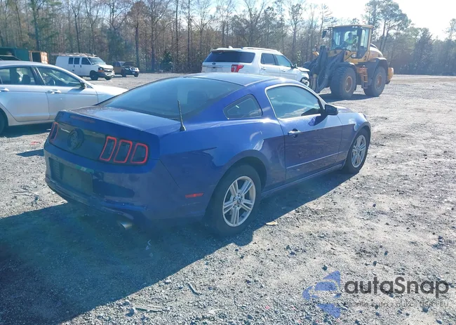 1ZVBP8AMXE5262927: 44081577