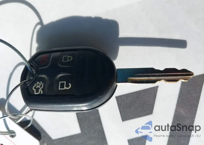 1ZVBP8AM7B5154583: 44081905