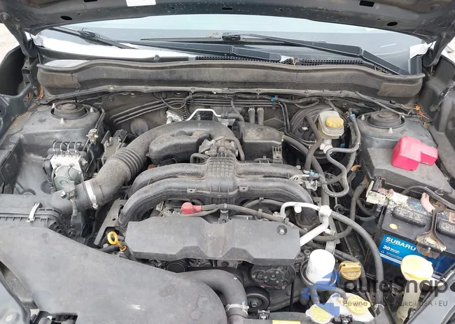 JF2SJABC2FH416842: 44081966