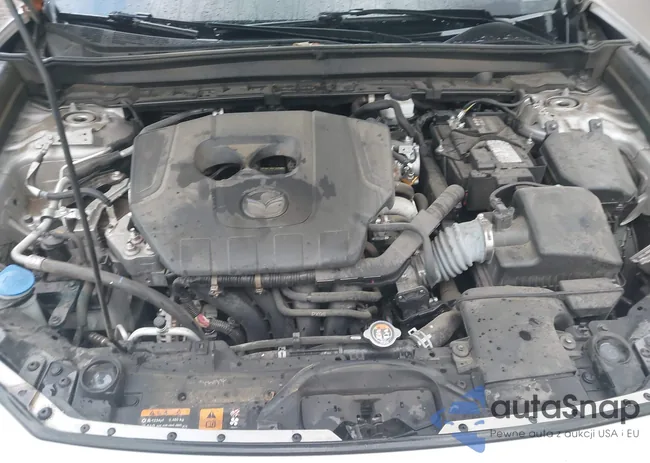 3MVDMBBM3RM658180: 44082087