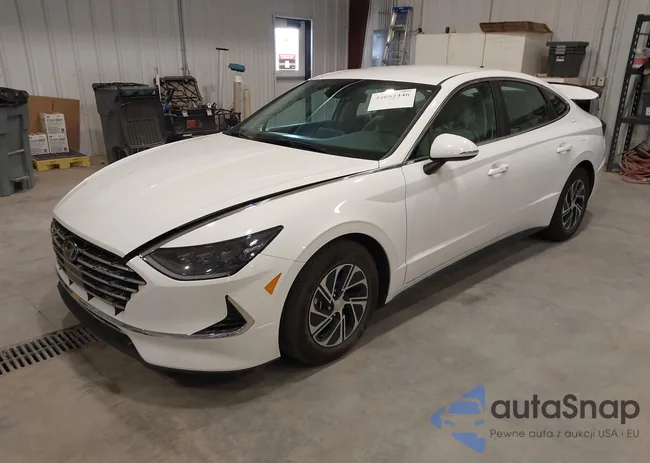 KMHL24JJ4PA080540: 44082446