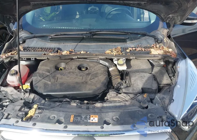 1FMCU9J97KUB59964: 44085245