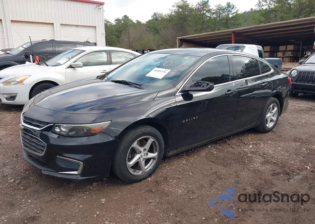 1G1ZB5ST9HF244513: 44085326