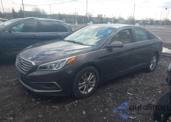 5NPE24AF0HH438218: 44086866