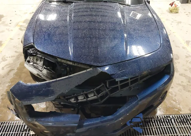 2G1FA1ED2B9115354: 44087569