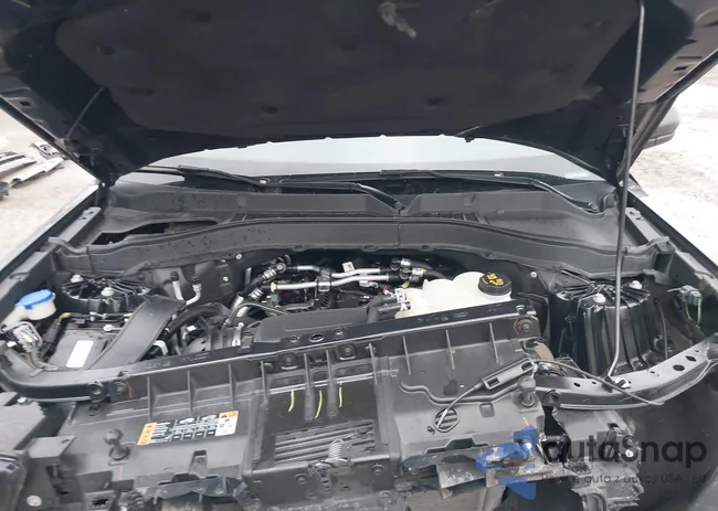 1FMSK8DH1MGC43519: 44087601