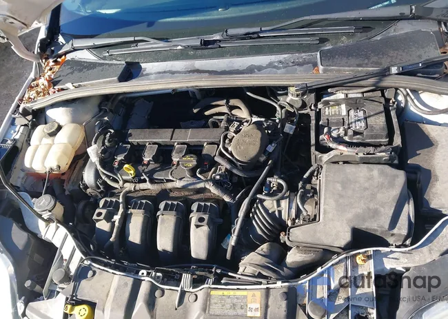 1FADP3F29DL179947: 44087925