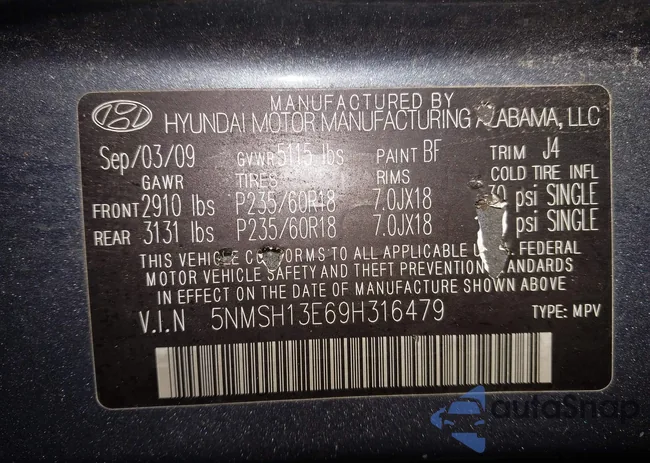 5NMSH13E69H316479: 44087403