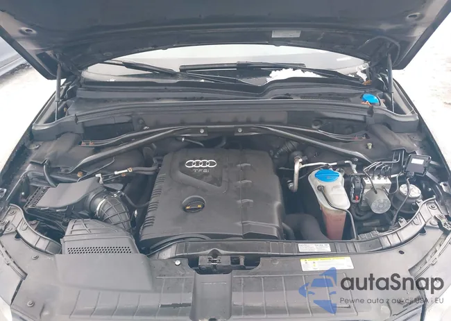 WA1CFAFP0BA006779: 44087535