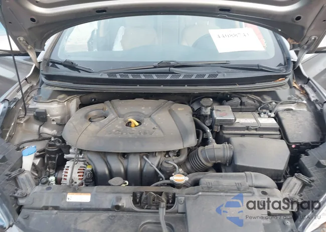 5NPDH4AEXCH131259: 44088741