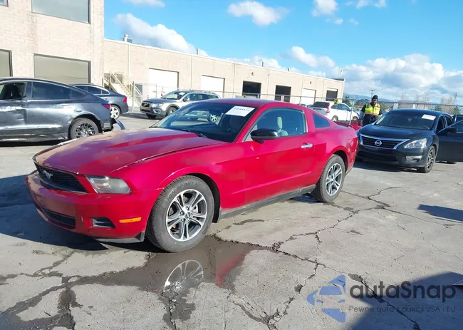 1ZVBP8AN4A5137666: 44088834