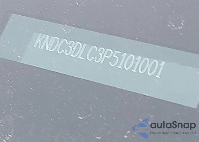 KNDC3DLC3P5101001: 44089133