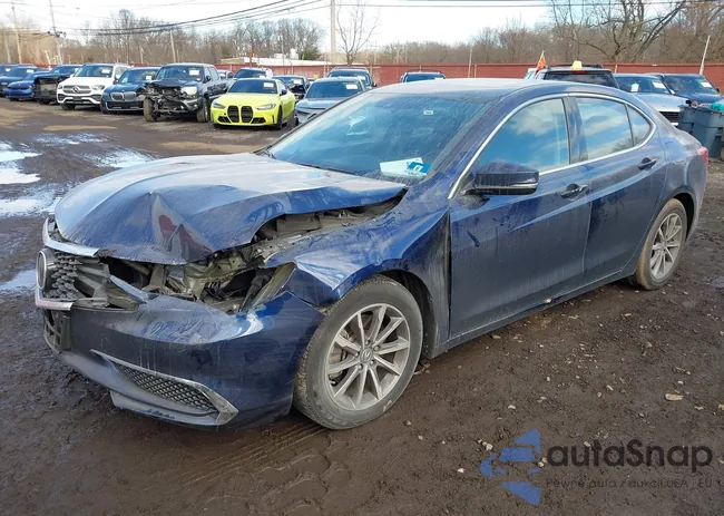 19UUB1F5XLA012872: 44091559