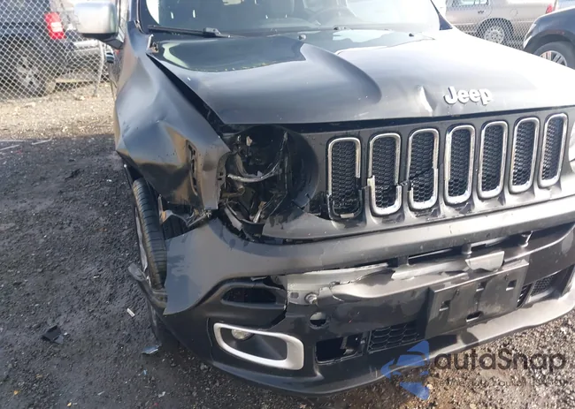 ZACCJBDT4FPC31674: 44091755