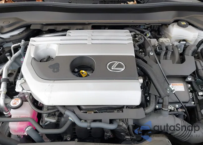 JTHP9JBH9P2067495: 44092031