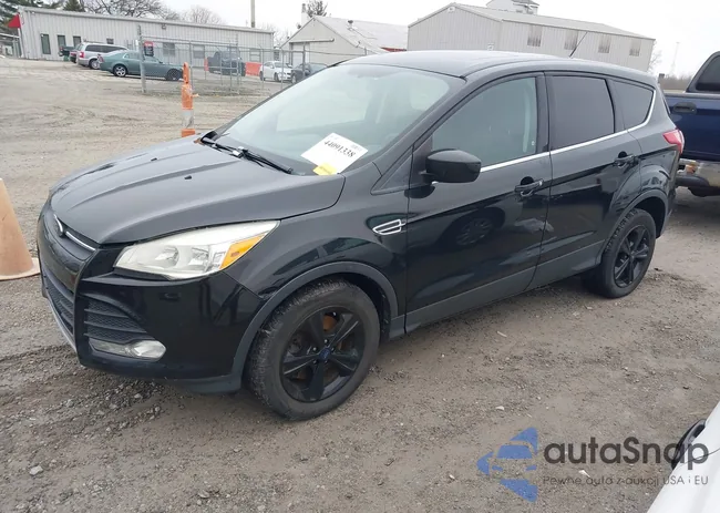 1FMCU9GX4EUB58572: 44091338