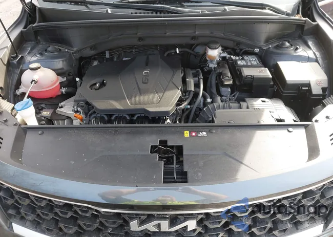 5XYRGDLC2PG194342: 44092796