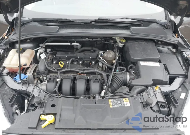 1FADP3F24GL304082: 44093583