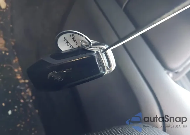 1FA6P8AM0H5239025: 44093891