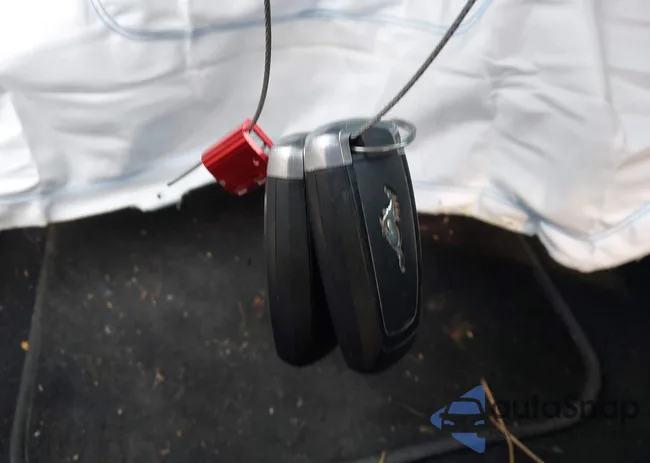 1FA6P8TH5L5174696: 44093973