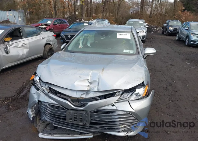 4T1F11AKXLU306029: 44093481