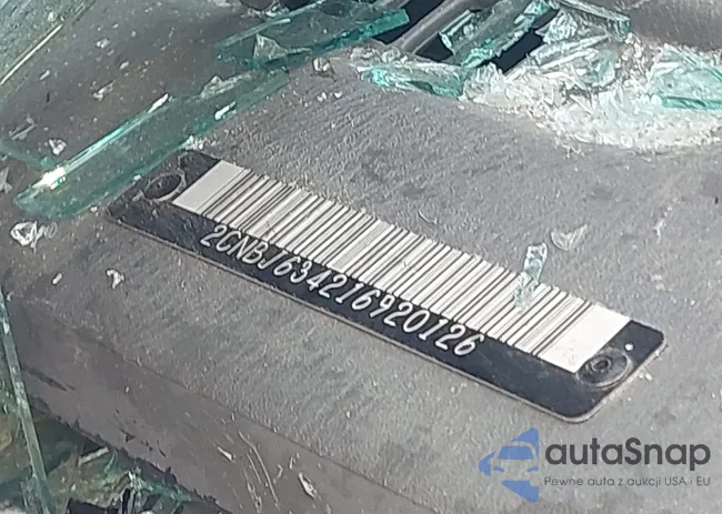 2CNBJ634216920126: 44094791