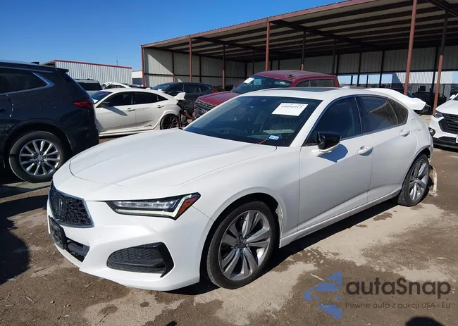 19UUB5F43MA010624: 44094912