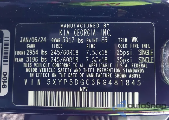 5XYP5DGC3RG481845: 44095031