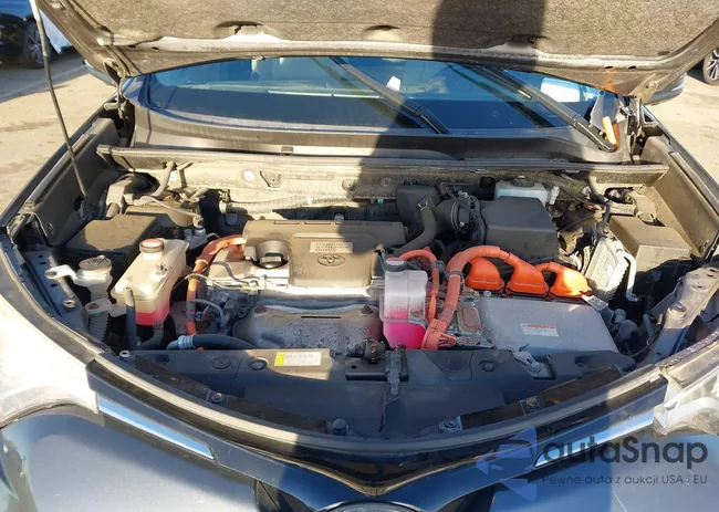 JTMDJREV5GD037667: 44095052