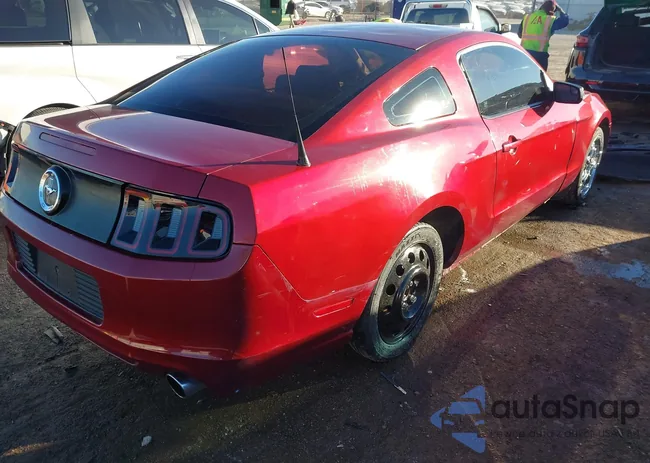 1ZVBP8AM9E5291576: 44095781